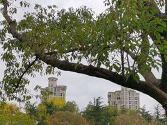 -昆山城市生态森林公园