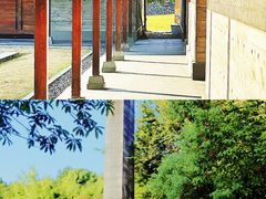-美丽洲堂