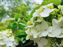 -大龙山(地铁站)