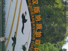-西双版纳原始森林公园