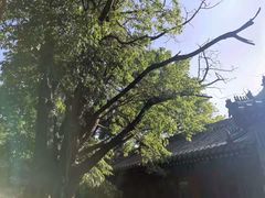 -北京国子监胡同
