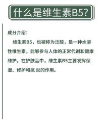 点击看大图 -玛莲朵·海菲秀冰珀科