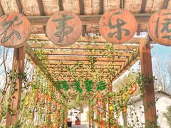 -溱湖国家湿地公园