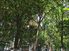 -杭州半山国家森林公园