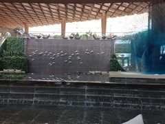 -三亚山海天JW万豪酒店