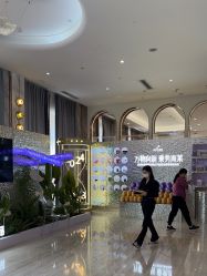 -深圳美莱医疗美容医院