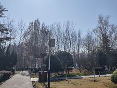 -滨湖塘西河公园