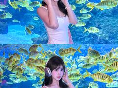 -海合安成都极地海洋公园