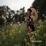 听说今年世纪公园种了一片彩色油菜花,果断安排上!