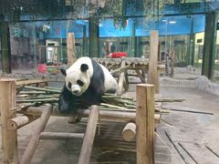 -栾川竹海野生动物园