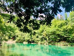 -石台牯牛降景区