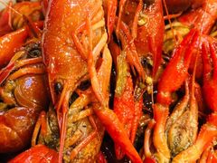 -蜀滋香鲜鱼美蛙火锅(339店)