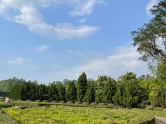 -南沙天后宫景区