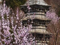 -妙峰山风景名胜区