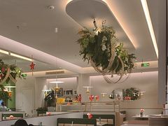-Aqua Oasis 水天堂(太湖中心mall店)