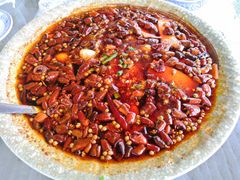 -青城甲(青城山店)