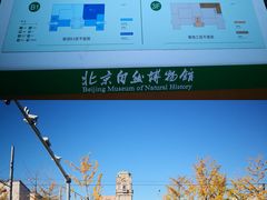 -国家自然博物馆