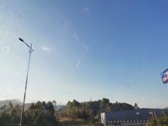 -重庆睡佛山森林公园