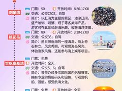 -日照灯塔风景区