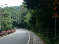 -火炉山森林公园