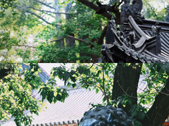 -八大处公园