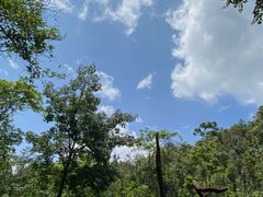 -普洱太阳河森林公园