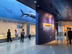 -安徽省地质博物馆