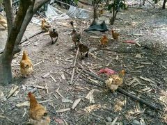 -邹记·美食(斗门店)