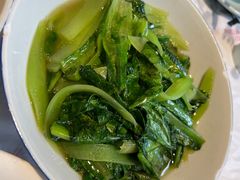莴笋叶-壹盏灯(惠农店)
