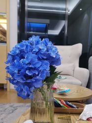 -ROYEA茹彦祛痘·问题肌肤修护中心