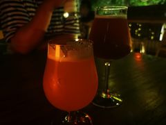 -麦落精酿啤酒餐吧(先农大院店)