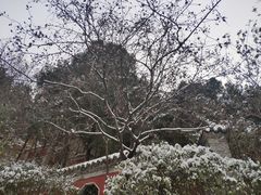 -佛慧山
