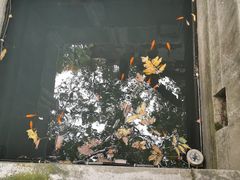 -九曜山