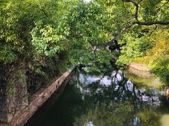 -月湖公园