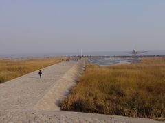 -南汇嘴观海公园