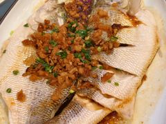 -新白鹿餐厅(百联中环店)