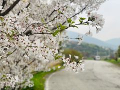 -光福景区