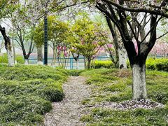 -高东镇樱花园
