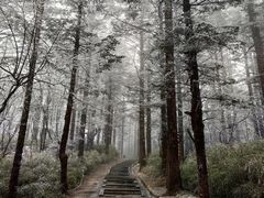 -峨眉山风景名胜区