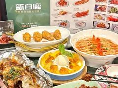 -新白鹿餐厅(城西银泰城店)