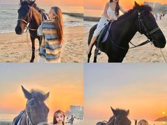 -玫瑰海岸文化旅游度假区