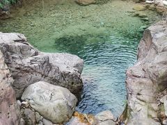 -南海湾森林生态园