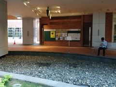 -香港大学