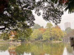 -晓港公园