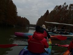 -上海海湾国家森林公园