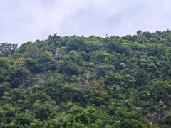 -高荡千年布依古寨旅游景区