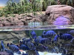 -上海海洋水族馆