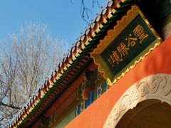 -灵谷景区
