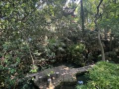 -绮园景区
