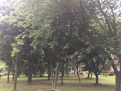 -四川大学(望江校区)